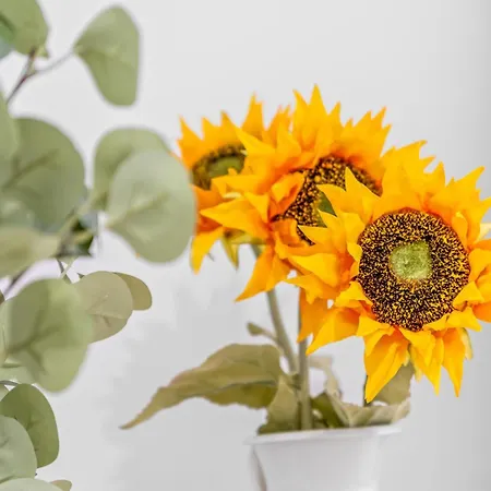 Sunflower Avenida